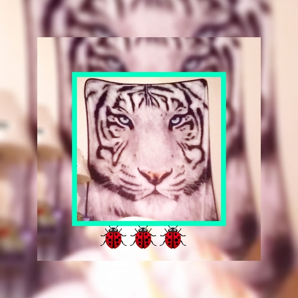 Meet your Posher, Helena - Picture 1 of 1